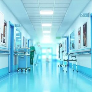 Hospital Establishments