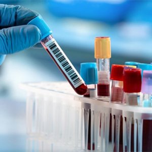 Medical Laboratories